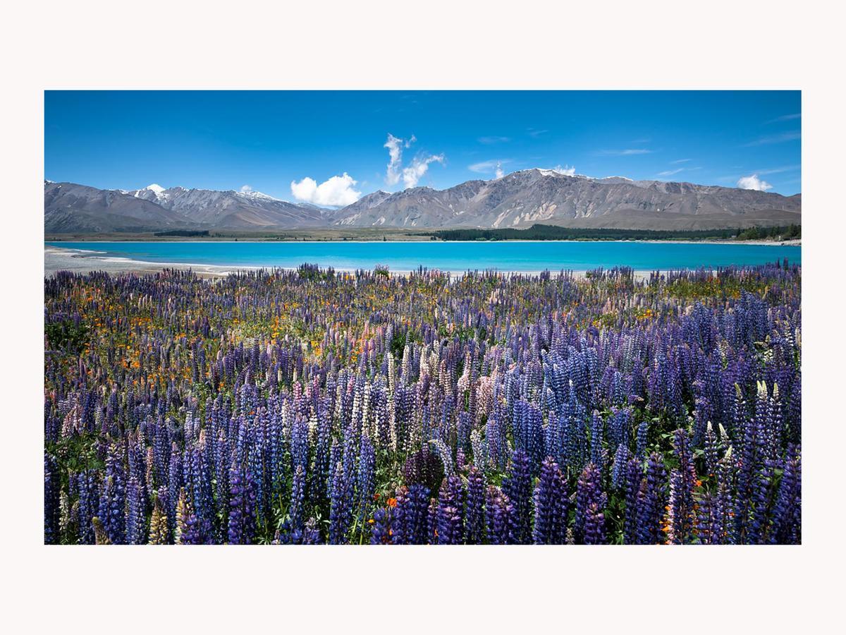 Alpine Suites On Tekapo Luxury B&B Lake Tekapo Exterior photo